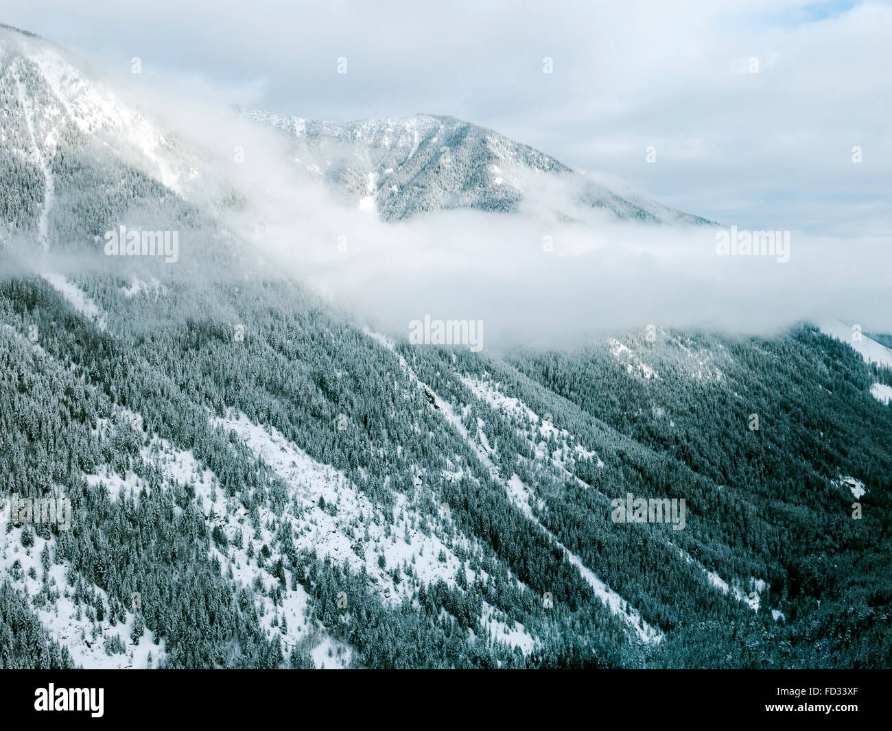 Aerial Winter Blick auf klaren Schnitt Protokollierung; Selkirk Mountains in der Nähe von entfernten Mount Carlyle Lodge;  Britisch-Kolumbien; Kanada Stockfoto