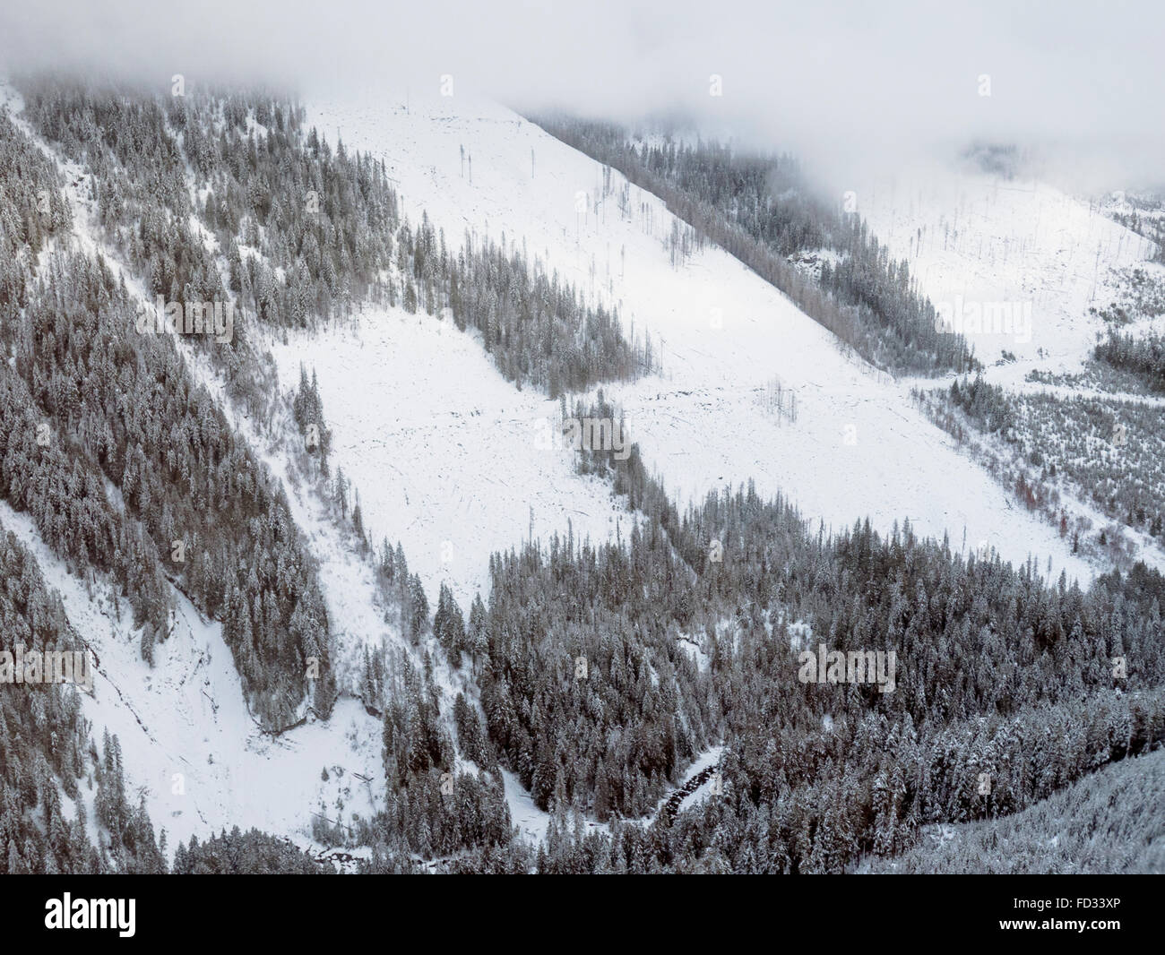 Aerial Winter Blick auf klaren Schnitt Protokollierung; Selkirk Mountains in der Nähe von entfernten Mount Carlyle Lodge;  Britisch-Kolumbien; Kanada Stockfoto