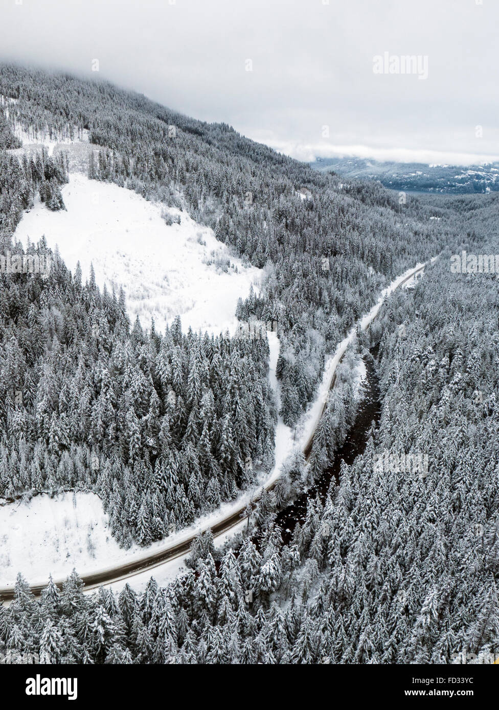 Aerial Winter Blick auf klaren Schnitt Protokollierung; Selkirk Mountains in der Nähe von entfernten Mount Carlyle Lodge;  Britisch-Kolumbien; Kanada Stockfoto