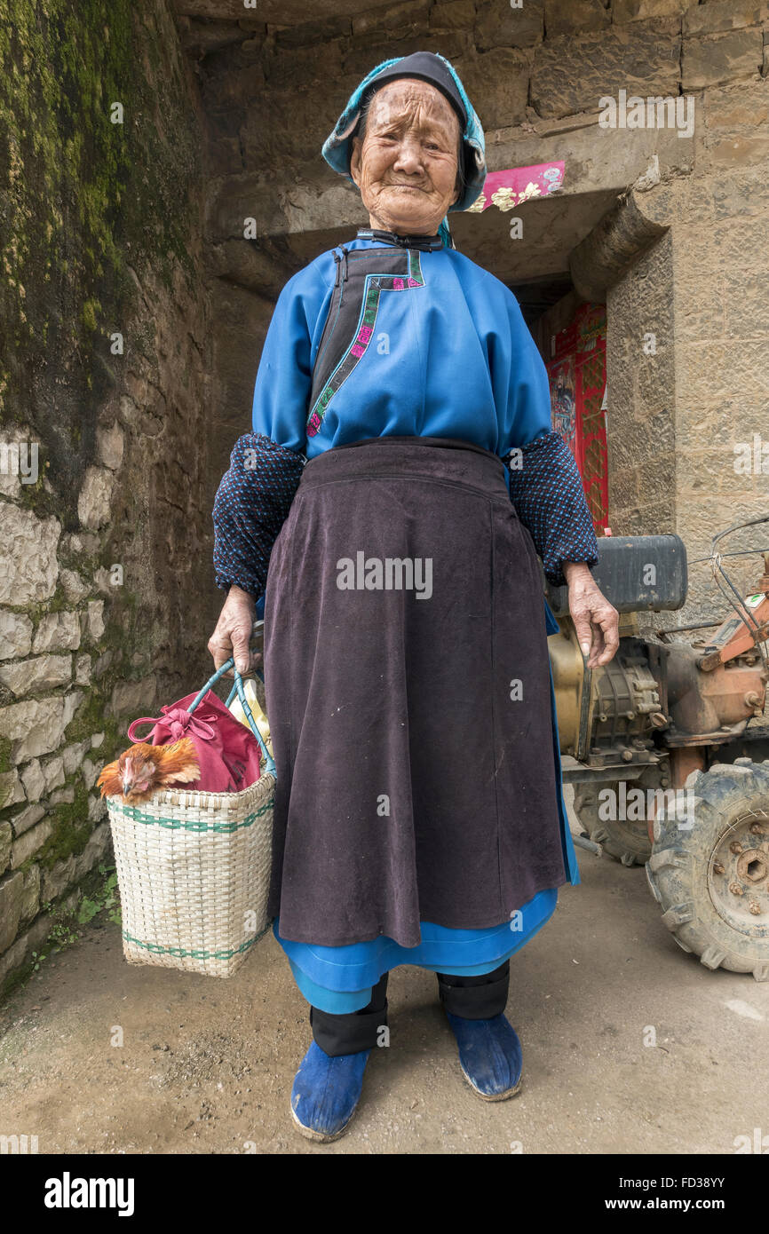 Seniorin alte Han mit Huhn und Traktor, Liuguan alte Han Dorf, Guizhou Provinz, China Stockfoto