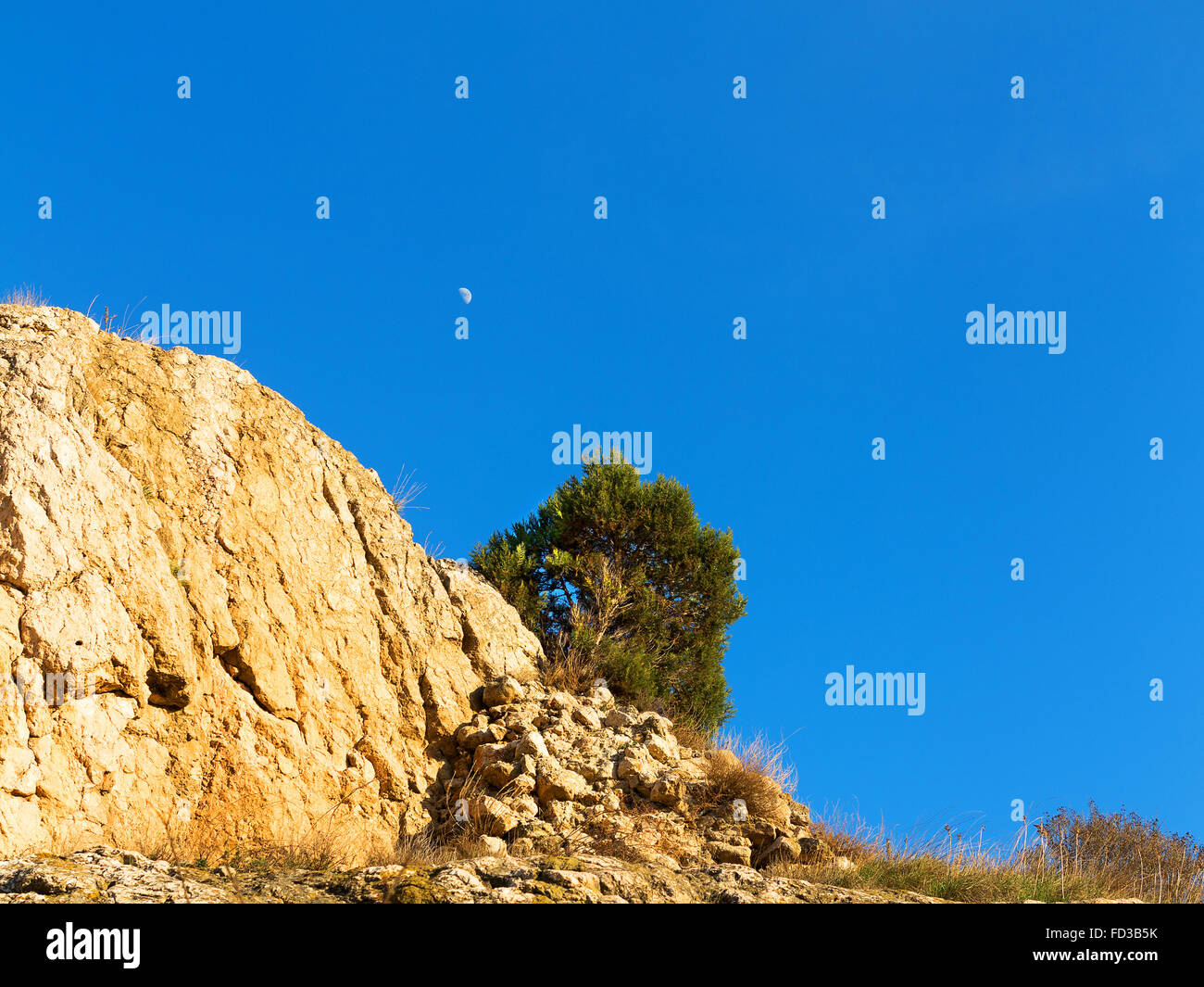 Halbmond am strahlend blauen Himmel, Baum auf einem Berg in einer kontrastierenden hellen Sonnenlicht, kontrastierenden Farbton. Crimea Stockfoto