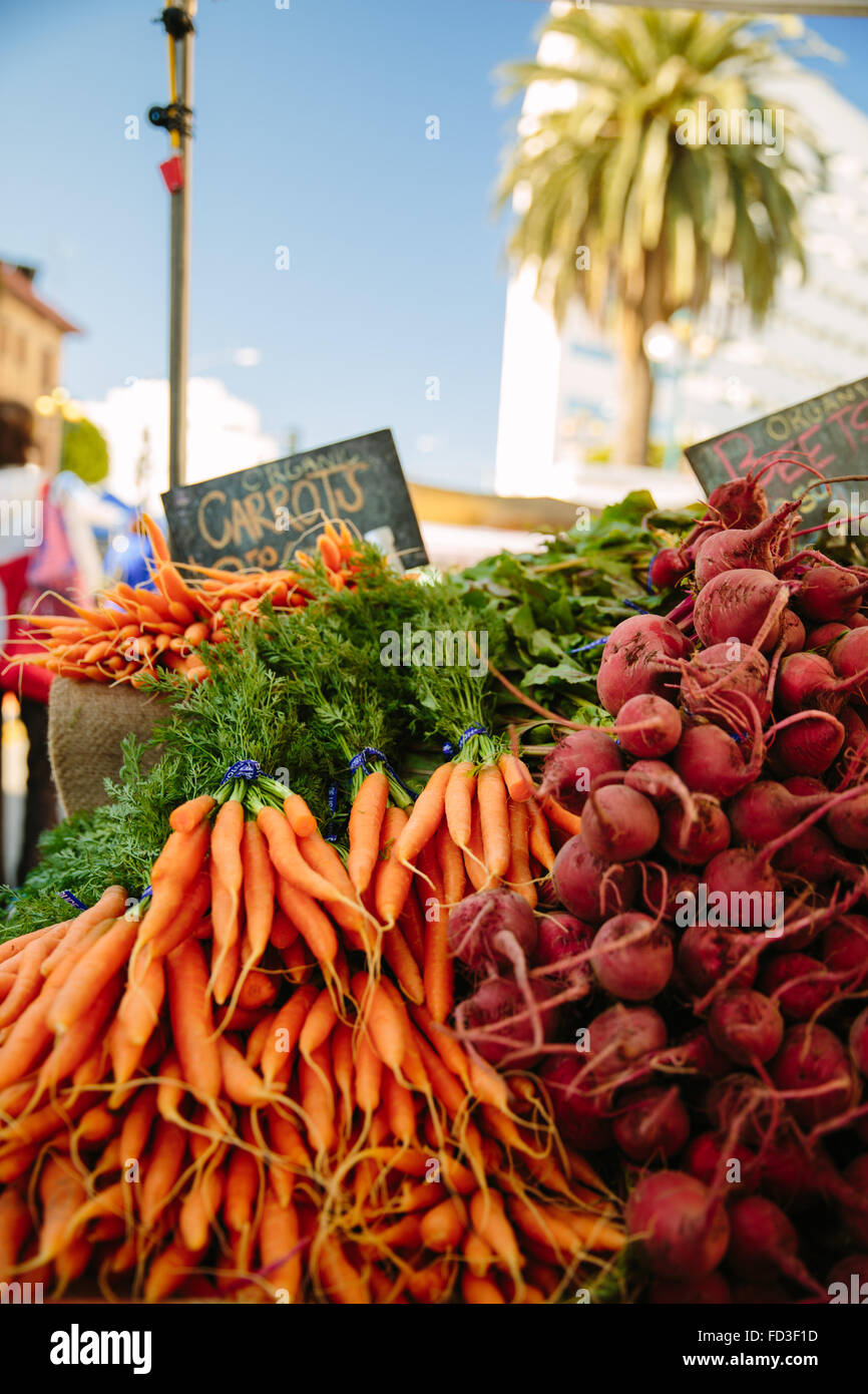 Karotten und Rüben auf dem Display für Verkauf auf dem Bauernmarkt in Santa Monica, Kalifornien. Stockfoto