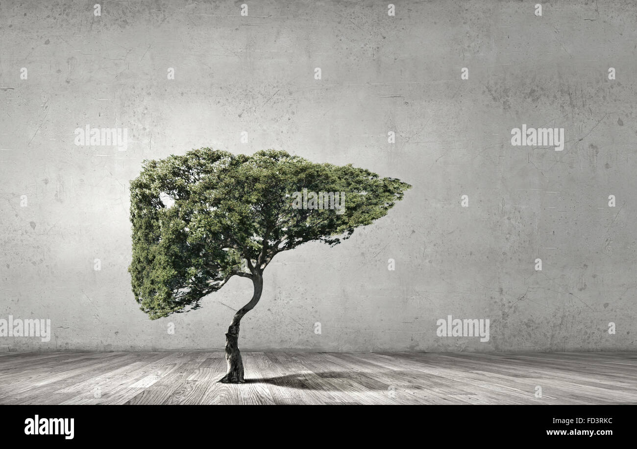 Konzeptbild von grüner Baum geformt wie menschliche Leber Stockfoto