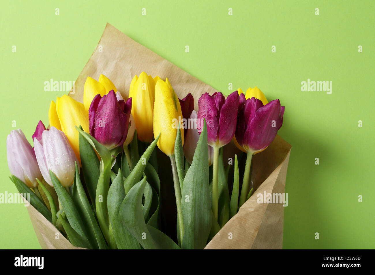 Frühlings-Tulpen in Papier auf grünem Hintergrund oben Stockfoto