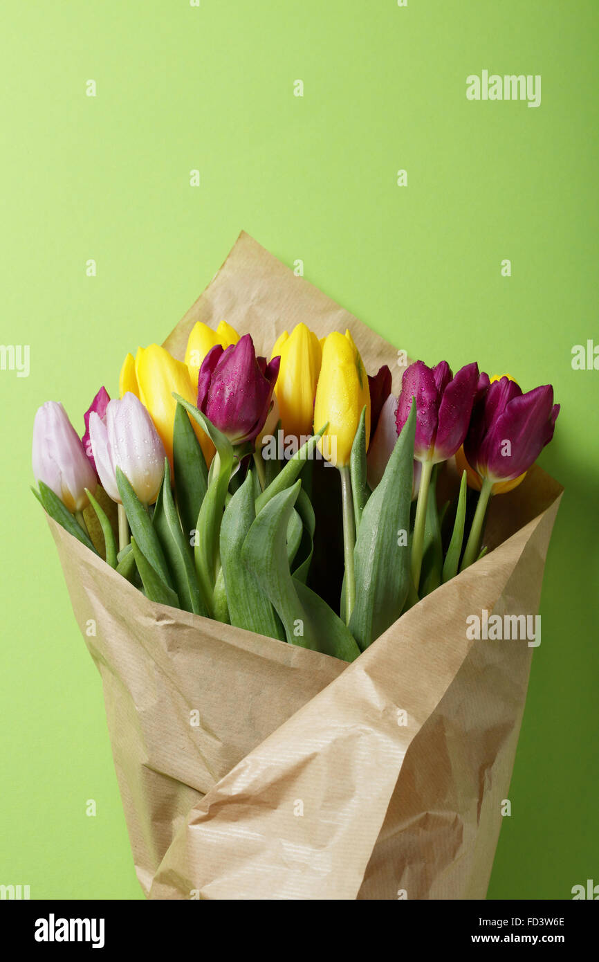 Frühling Tulpen eingewickelt in Kraftpapier auf grünem Hintergrund, Blumen Stockfoto