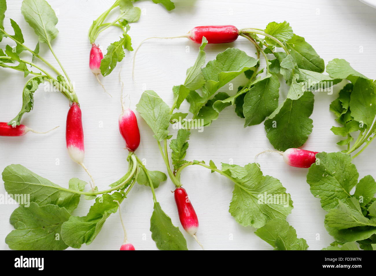 Radieschen mit Blätter auf weiße, Lebensmittel-Muster Stockfoto