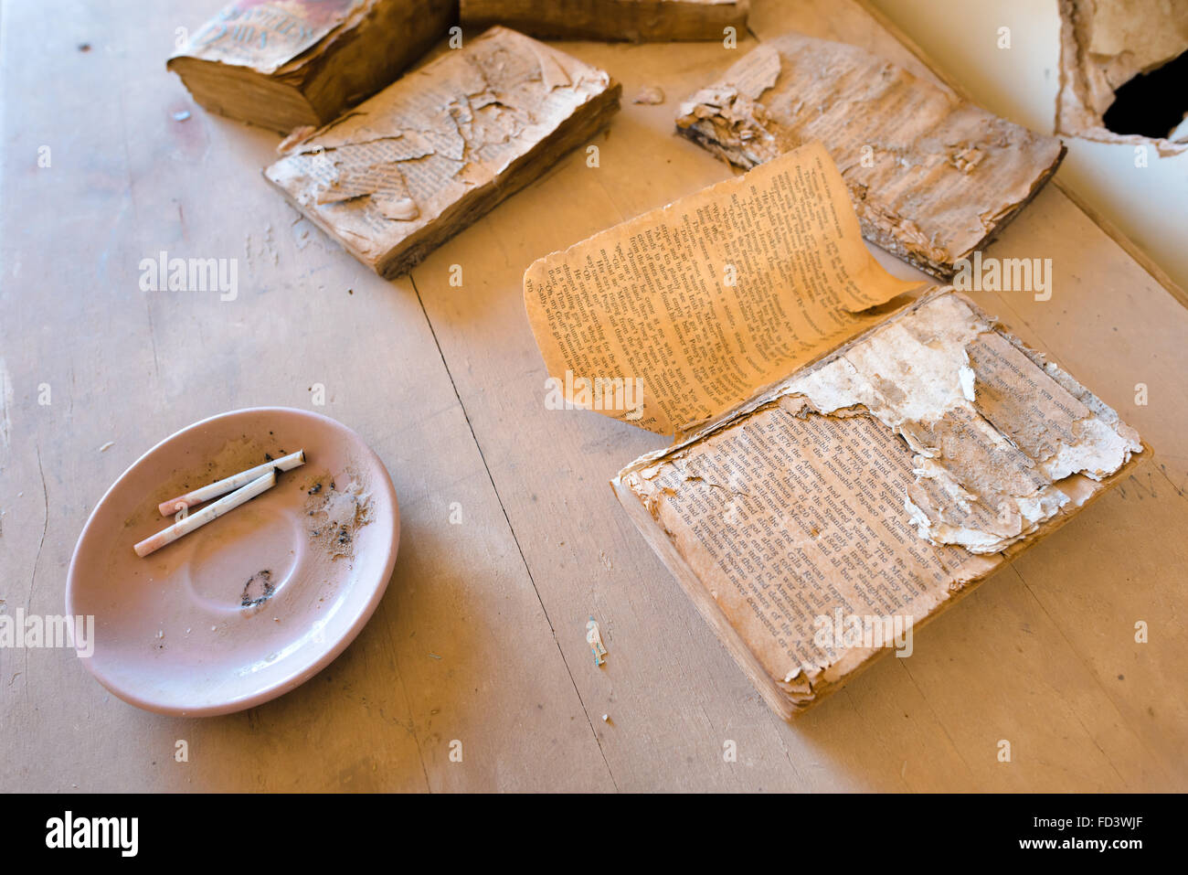 Alte Bücher in einem verlassenen Haus in Bombay Beach, Kalifornien, am östlichen Ufer des Salton Meeres Stockfoto