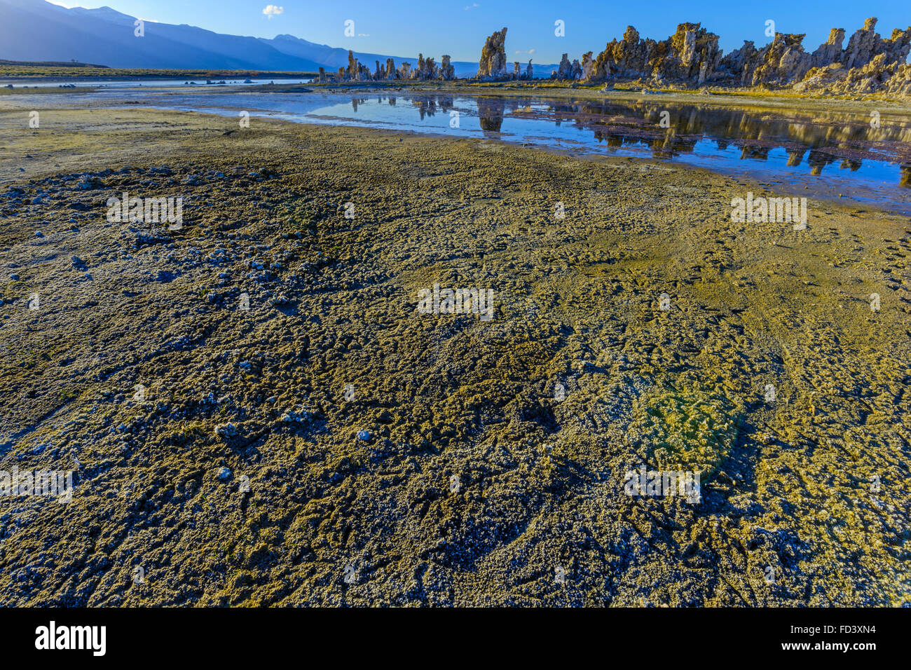 Mono Lake und Kalktuff-Formationen, California Stockfoto