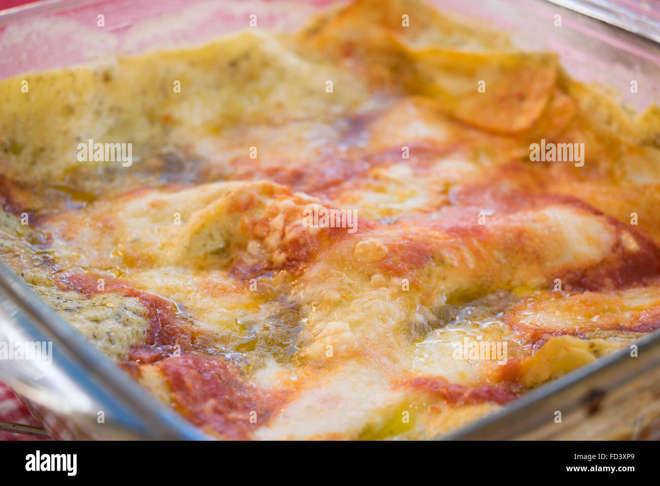 Lasagne auf Basilikum-Pesto und leichten Geschmack von Tomatensauce Stockfoto