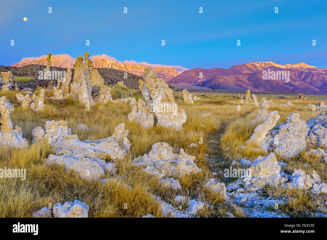 Kalktuff-Formationen am Ufer des Mono Lake bei Sonnenaufgang mit Mond, California Stockfoto