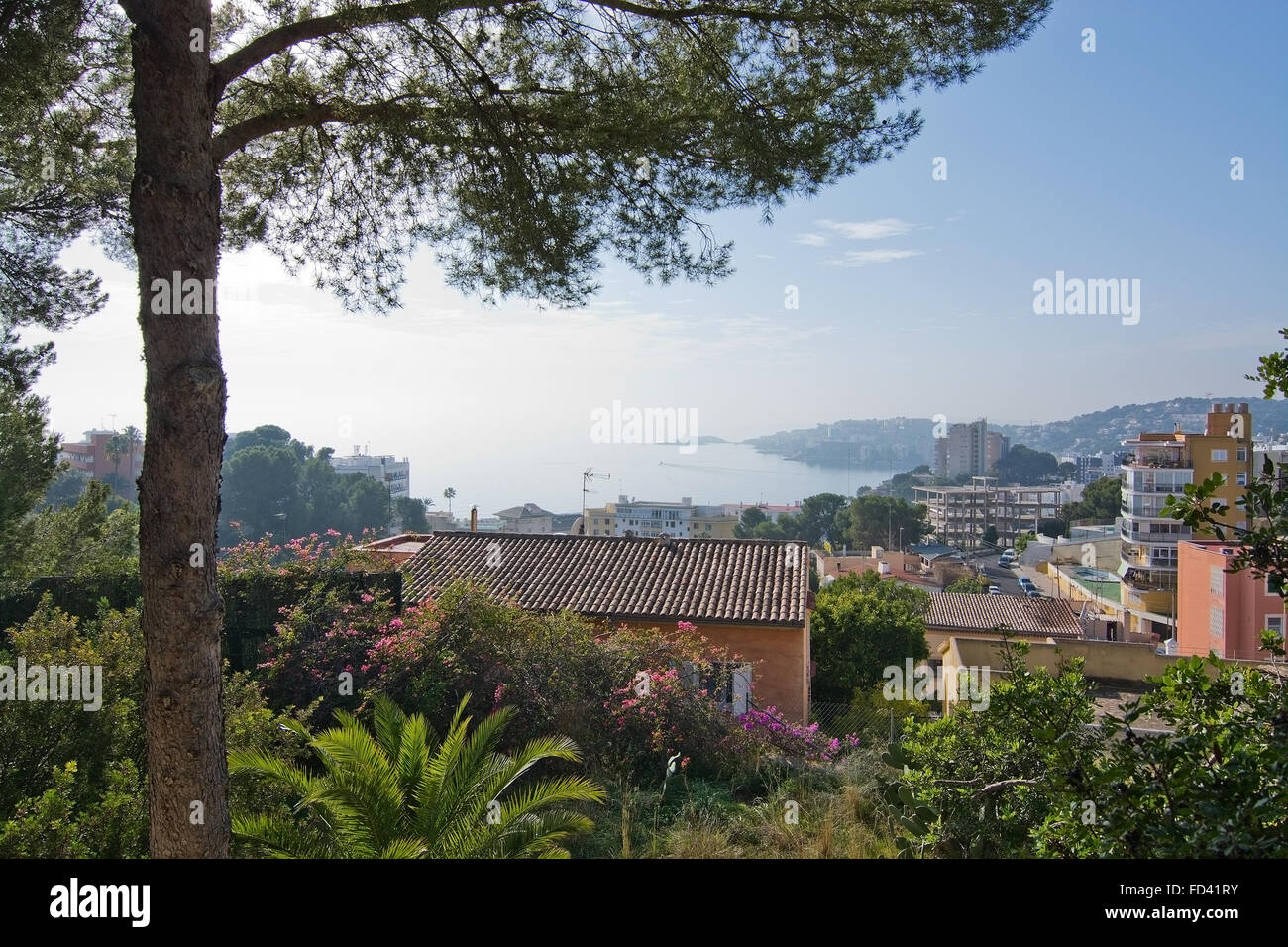 Cala Mayor Meerblick mit Kiefer an einem sonnigen Wintertag am 19. Dezember 2015 in Cala Mayor, Mallorca, Balearen, Spanien Stockfoto