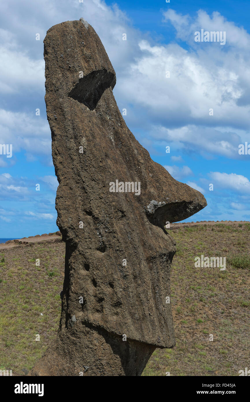 Chile, Osterinsel, Moai in Rano Raraku, Rano Raraku, Nationalpark Rapa Nui, UNESCO-Welterbe Stockfoto