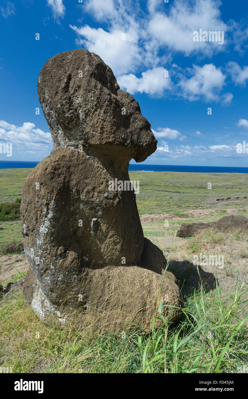 Chile, Osterinsel, kniend Moai in Rano Raraku, Rano Raraku, Nationalpark Rapa Nui, UNESCO-Welterbe Stockfoto