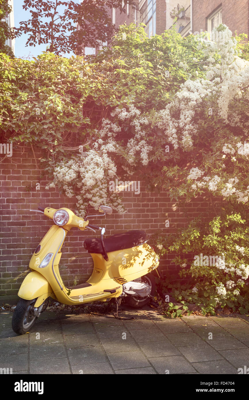 Gelbe Roller Parken auf den Straßen von Amsterdam in der Nähe von einem Zaun aus Backstein mit Vegetation bedeckt Stockfoto