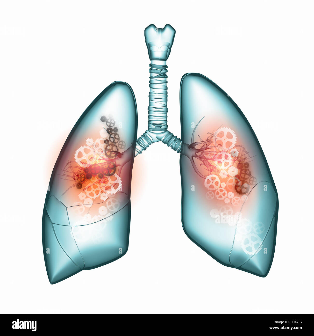 Menschliche Lunge mit Mechanismen. Gesundheit und Medizin Stockfoto