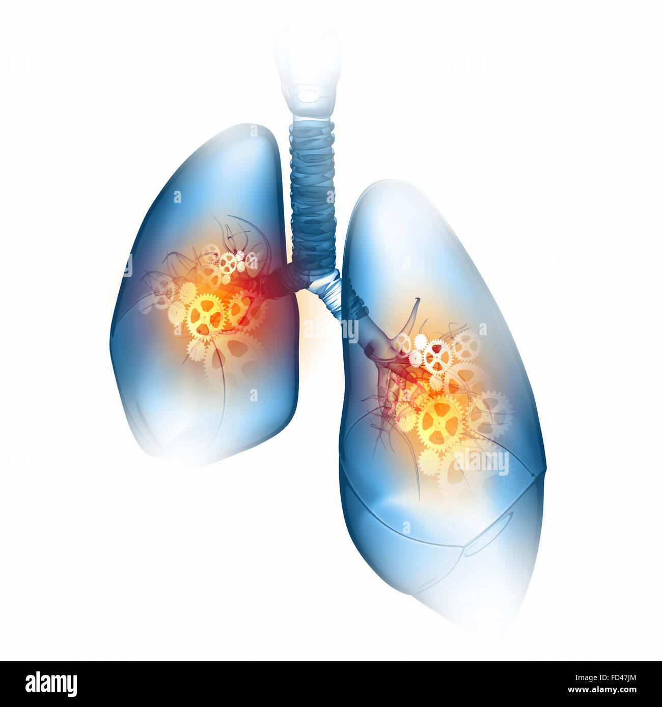 Menschliche Lunge mit Mechanismen. Gesundheit und Medizin Stockfoto