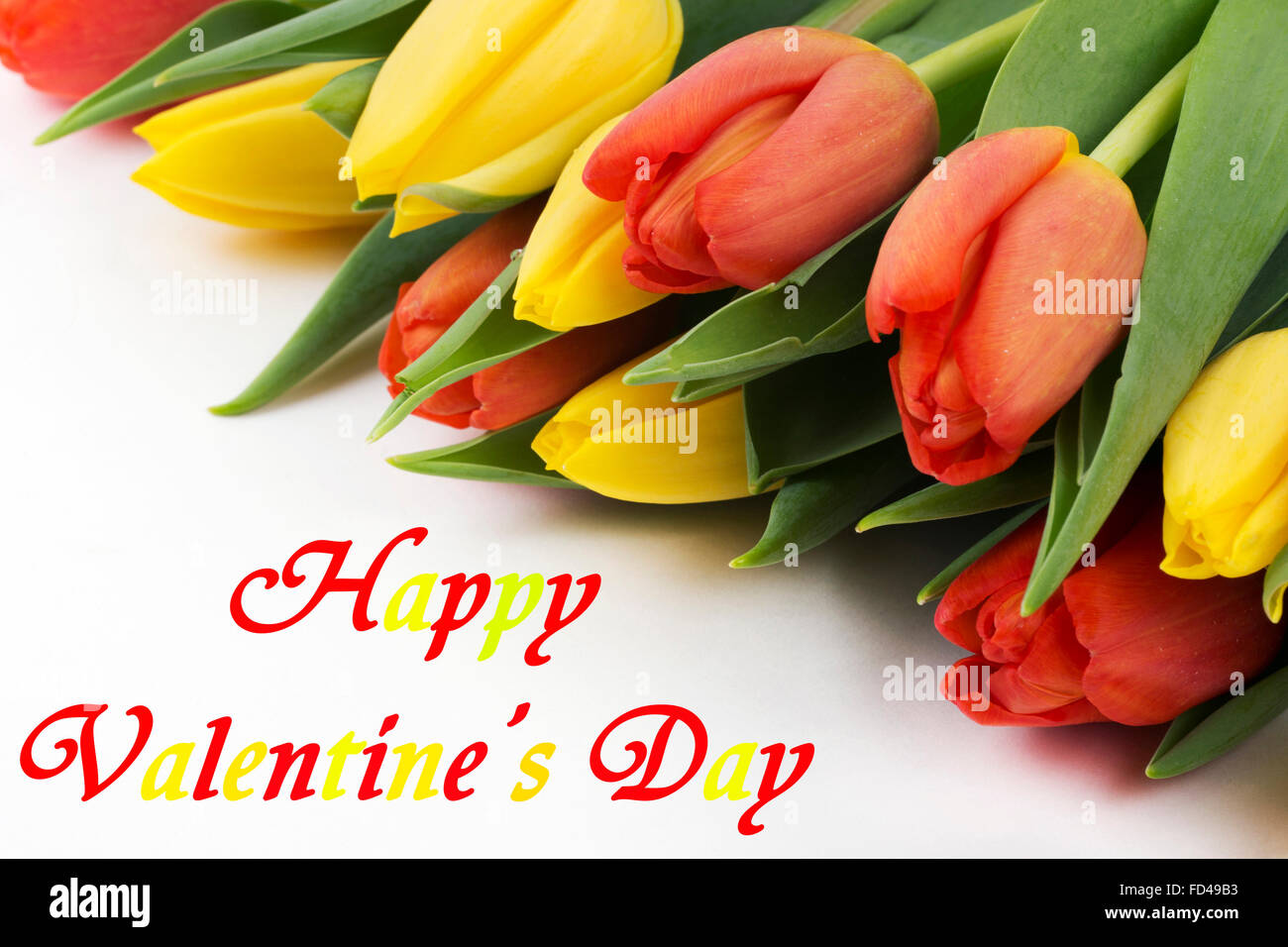 Happy Valentines Day, Tulpen mit Inschrift Stockfoto