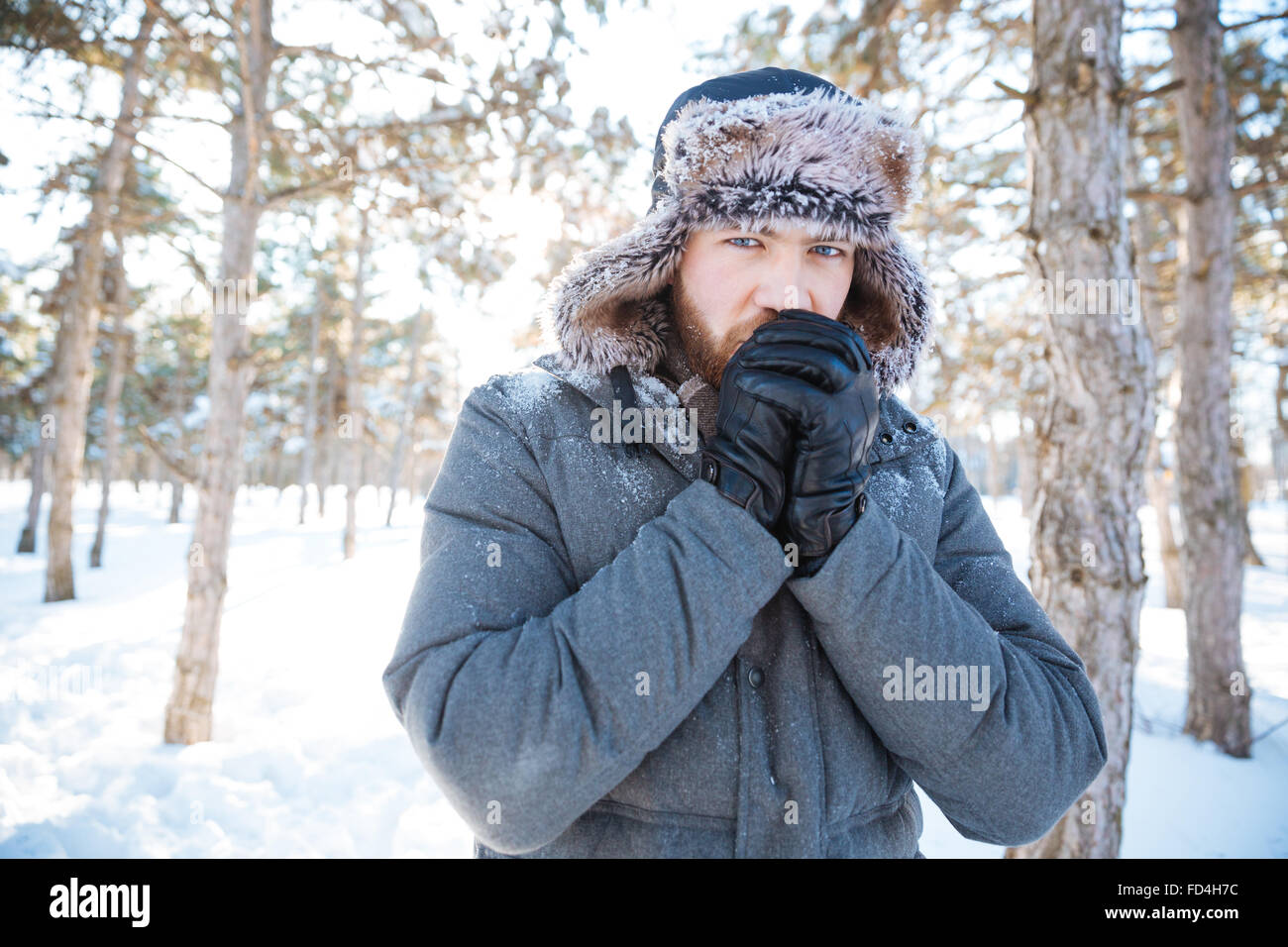 Gut aussehender Mann im Winter Tuch stehen im Park und Blick in die Kamera Stockfoto