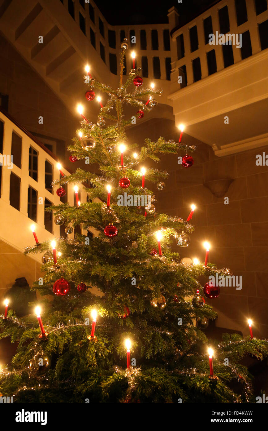 Weihnachtsbaum. Stockfoto