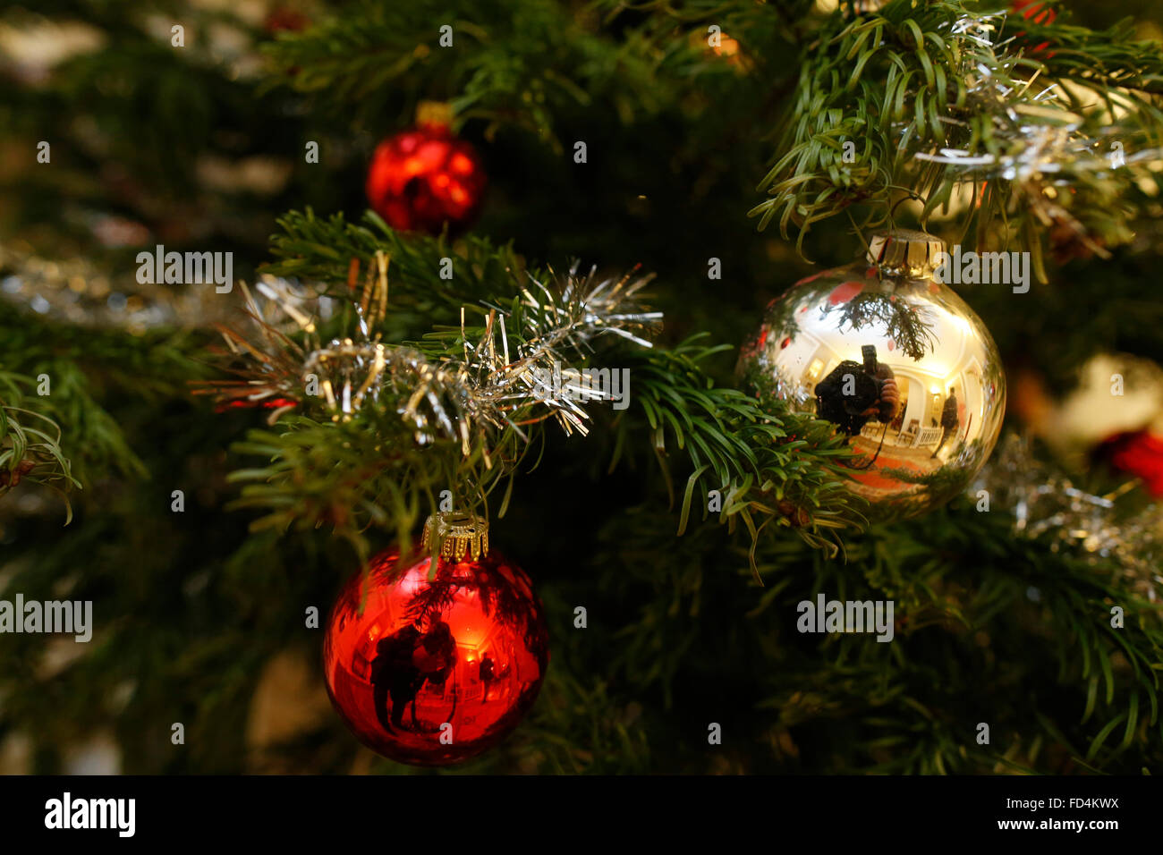 Weihnachtsbaum. Stockfoto