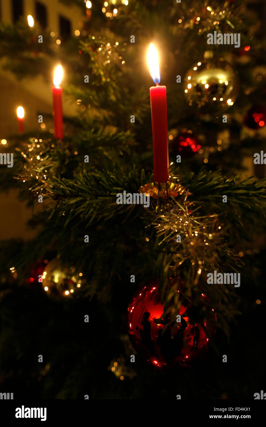 Weihnachtsbaum. Stockfoto