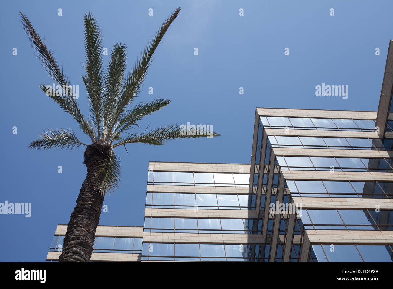 Niedrigen Winkel Ansicht des Bürogebäudes von Palme gegen blauen Himmel Stockfoto