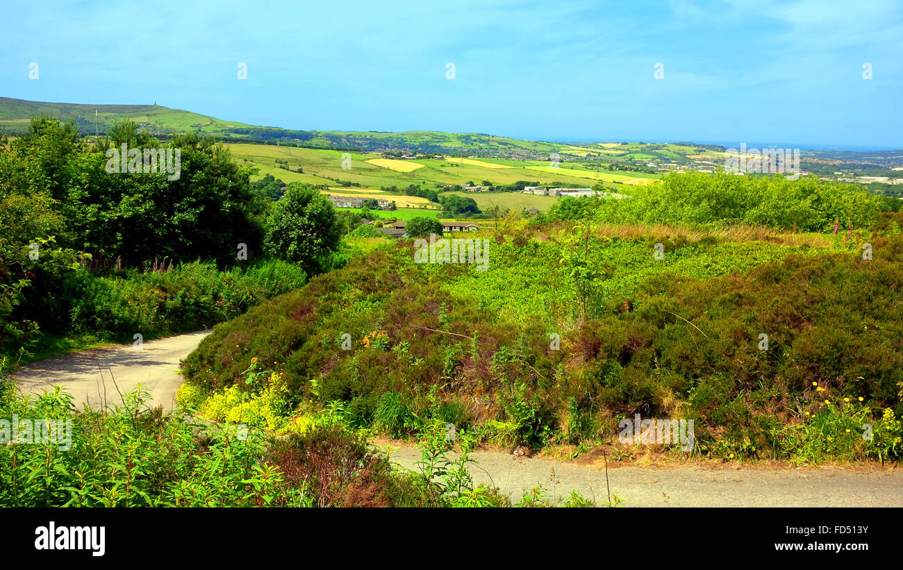 Felder auf die West Pennine Moors in der Nähe von Darwen Stockfoto