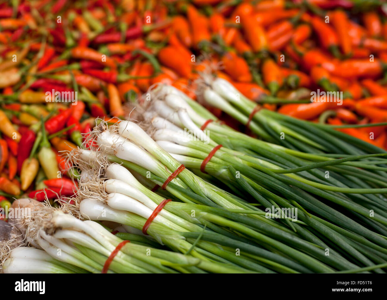 Fülle von frischen Frühlingszwiebeln und Piri Piri chili's. Stockfoto