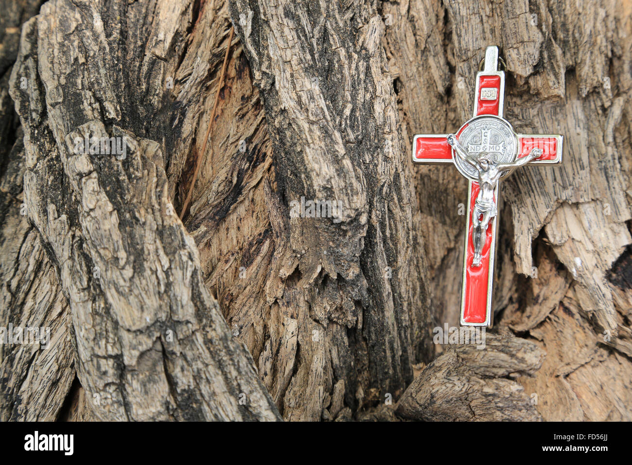 Kruzifix auf einem Baumstamm. Stockfoto