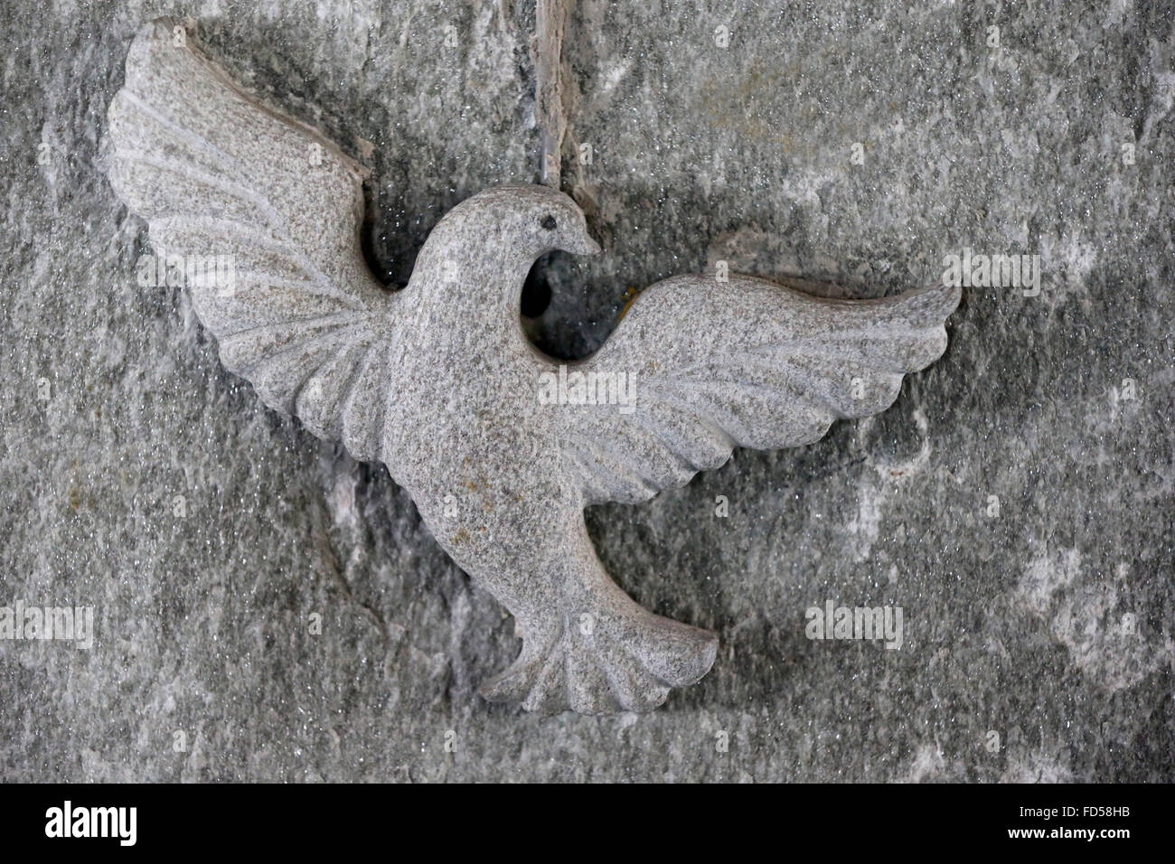 Taube des Heiligen Geistes. Stockfoto