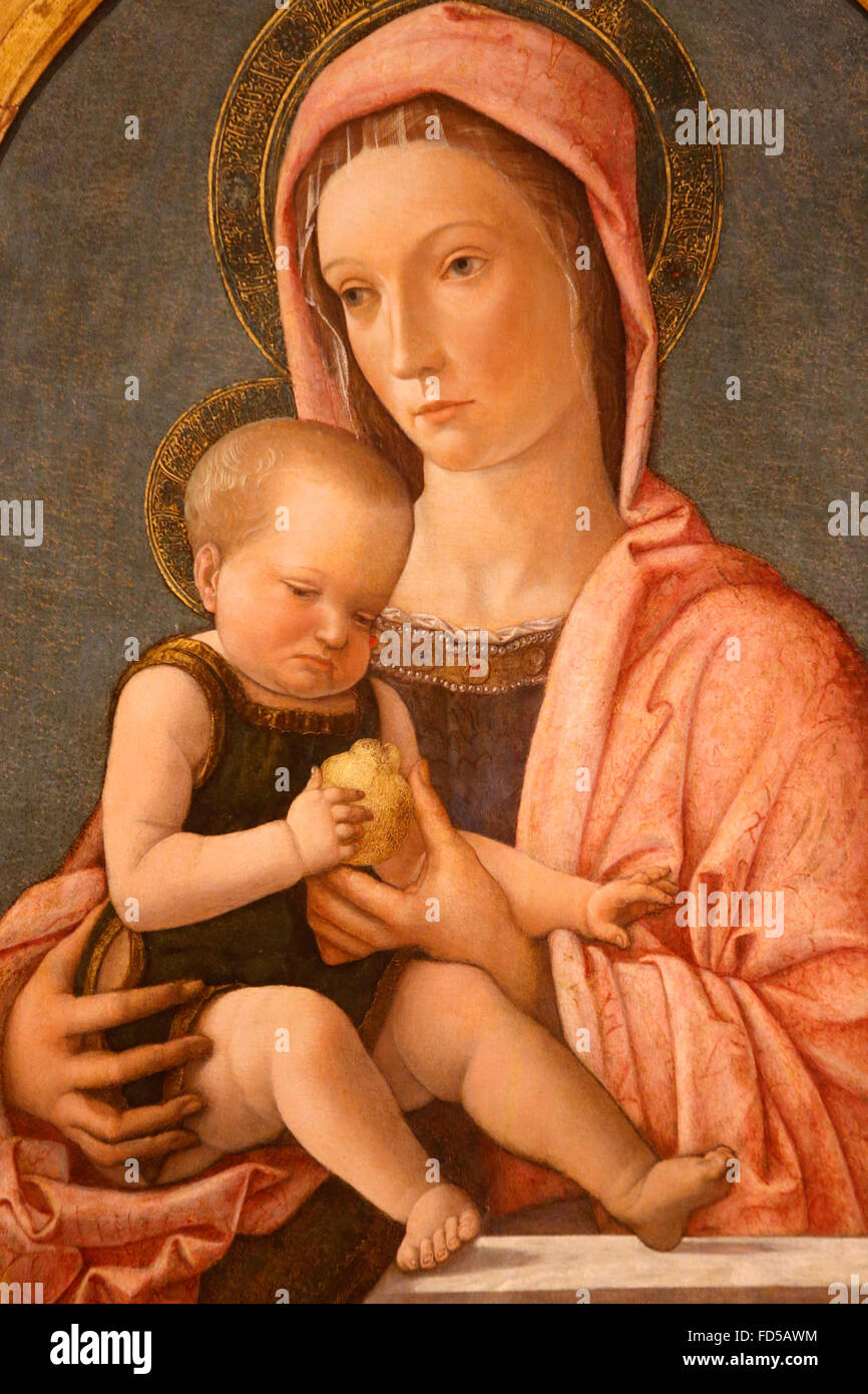 Sforza-Schloss-Museum, Milan. Madonna mit Kind. Giovanni Bellini, 1460-1465. Tempera auf Holzplatte. Stockfoto