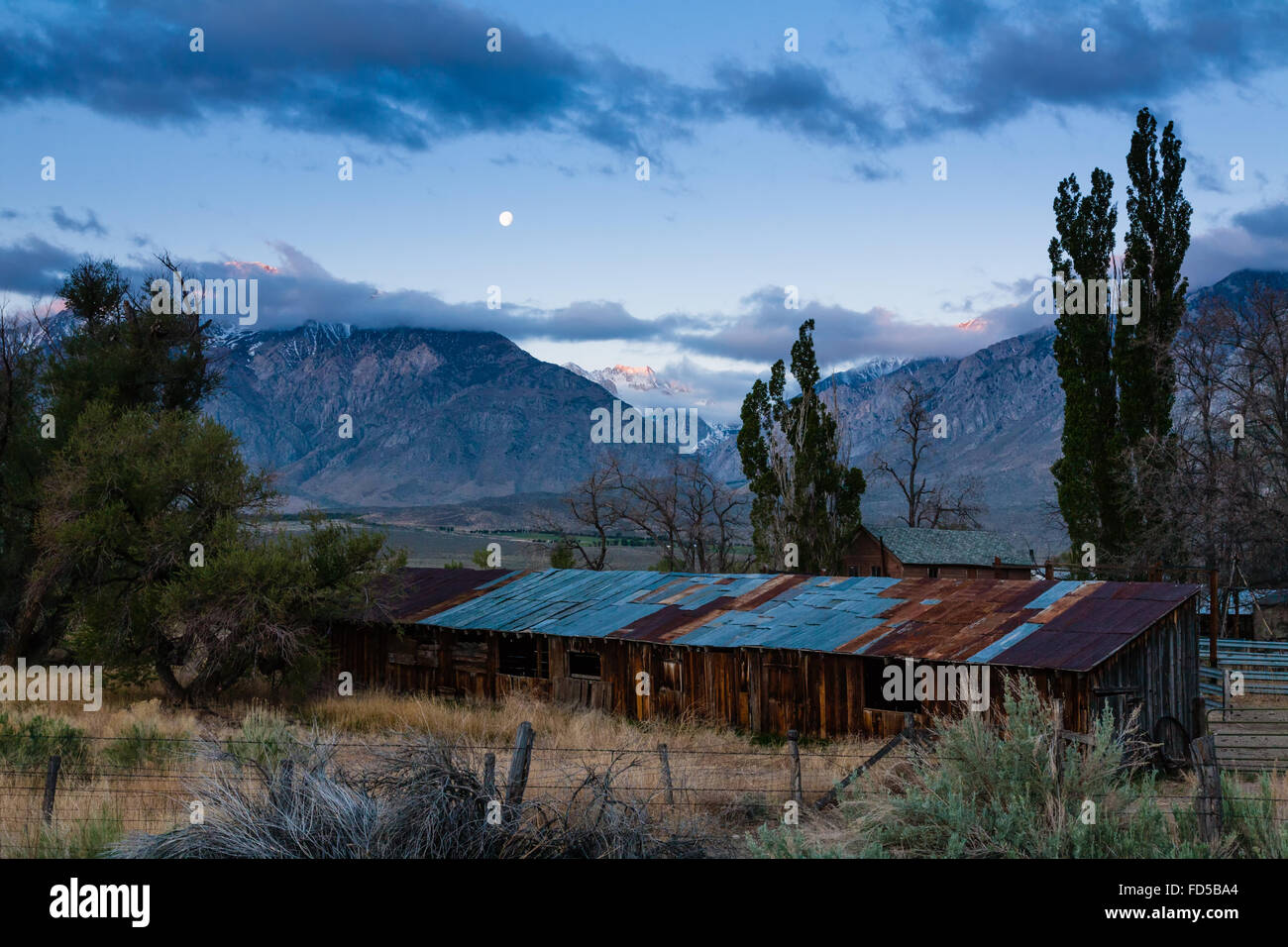 Am frühen Morgen in der Nähe von Paradise schwillt in Bishop, Kalifornien. Stockfoto