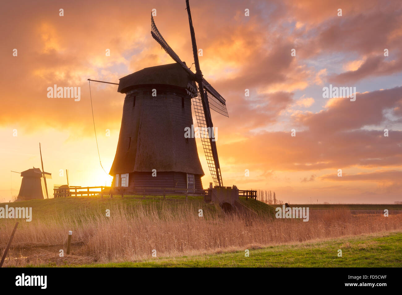 Traditionelle holländische Windmühlen bei Sonnenaufgang in der Nähe von Schermerhorn in den Niederlanden. Stockfoto