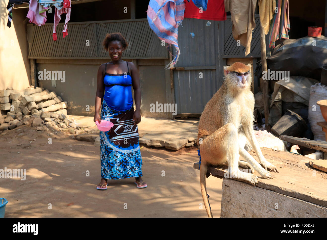 Affe in einem afrikanischen Heimat. Stockfoto