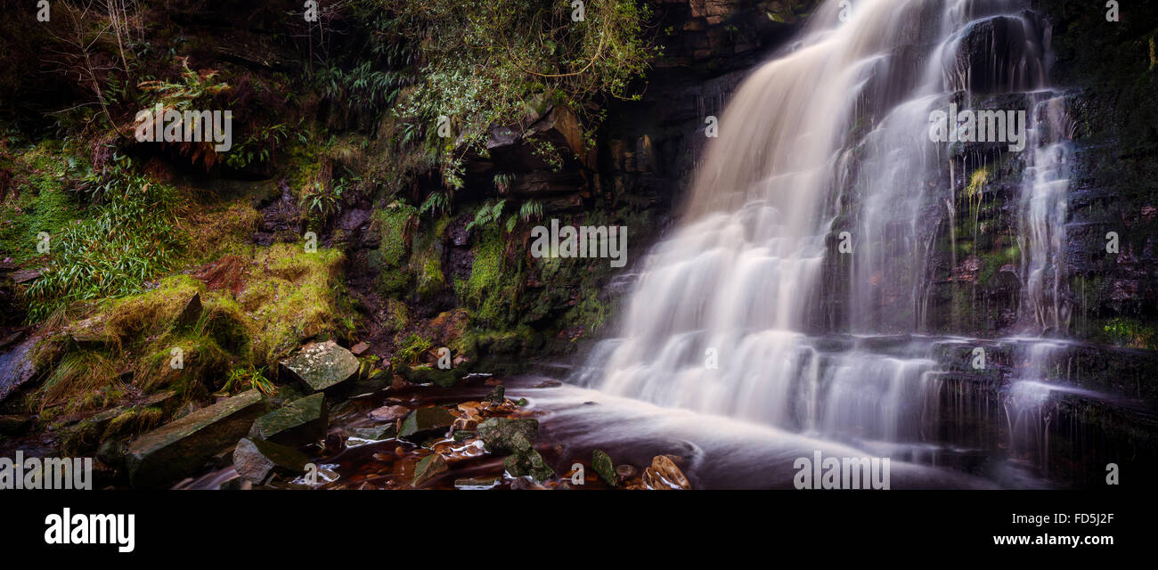 Wenig bekannte Derbyshire Peak District Wasserfall in vollem Durchfluss mit Torf gefärbten Wasser und Schatten liebende Pflanzen Stockfoto