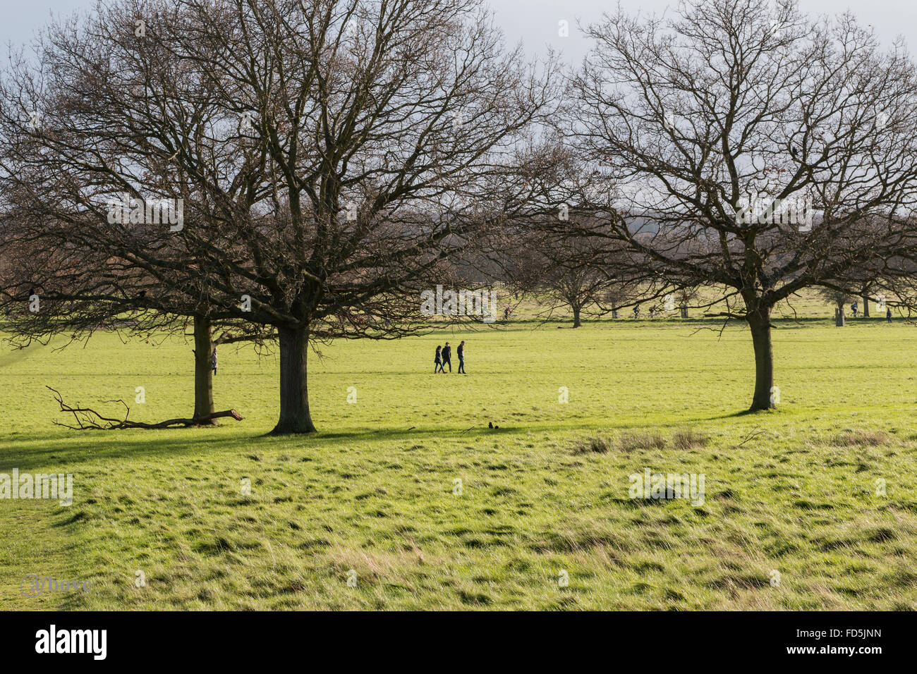 Ein Besuch in Richmond Park, London Stockfoto