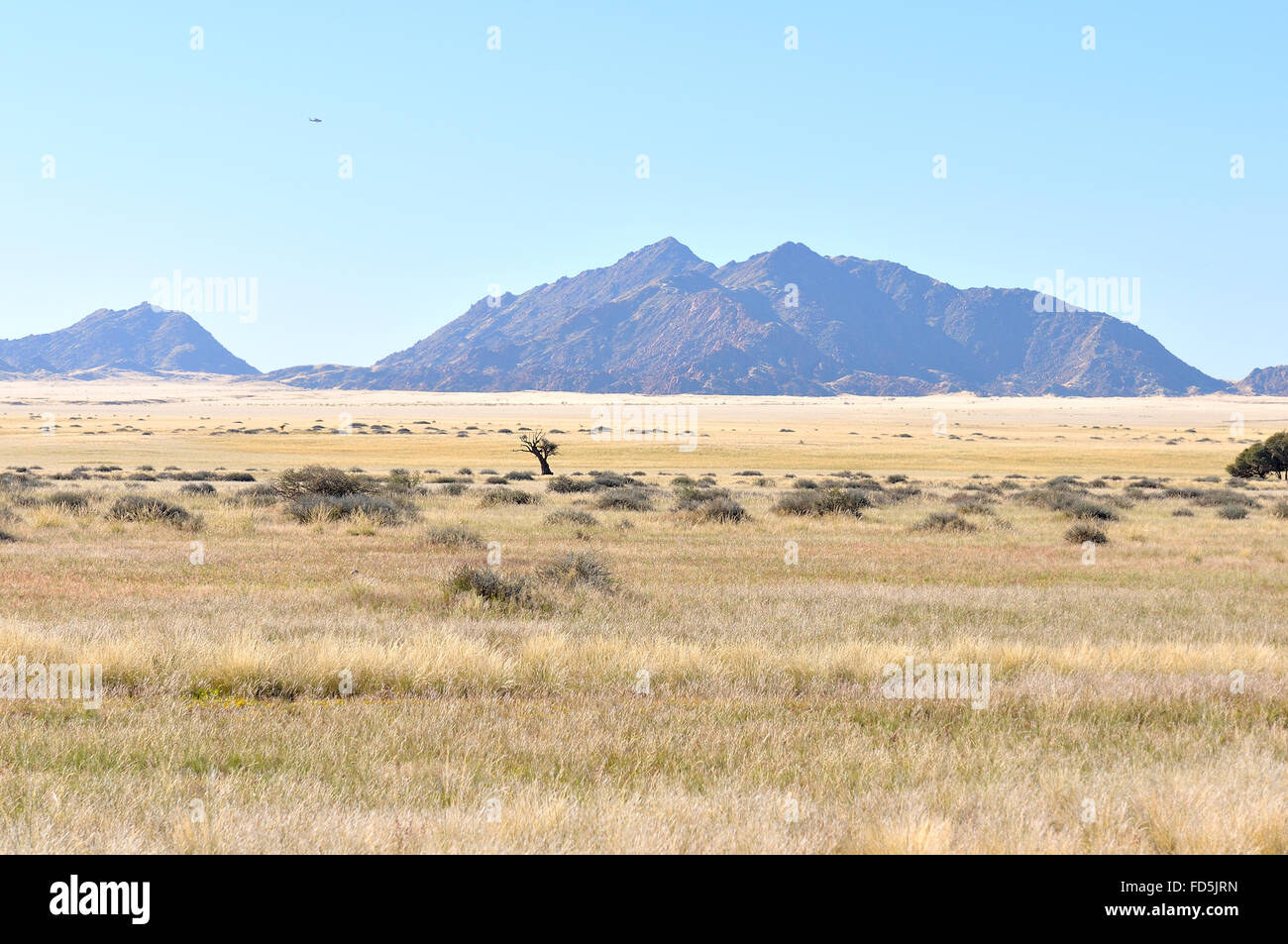 Grass und Berg Landschaft in der Nähe von Sesriem, Namibia Stockfoto