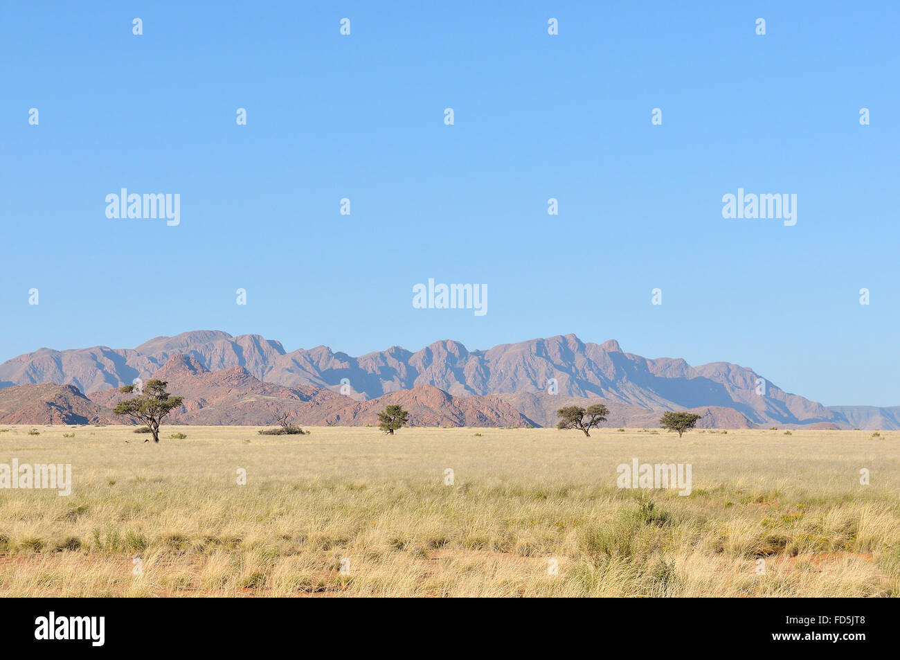 Grass und Berg Landschaft in der Nähe von Sesriem, Namibia Stockfoto