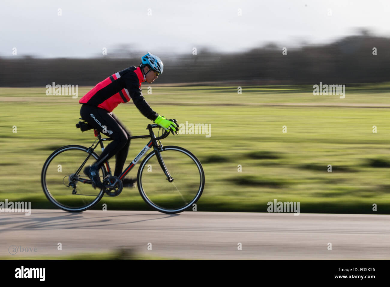 Ein Besuch in Richmond Park, London Stockfoto