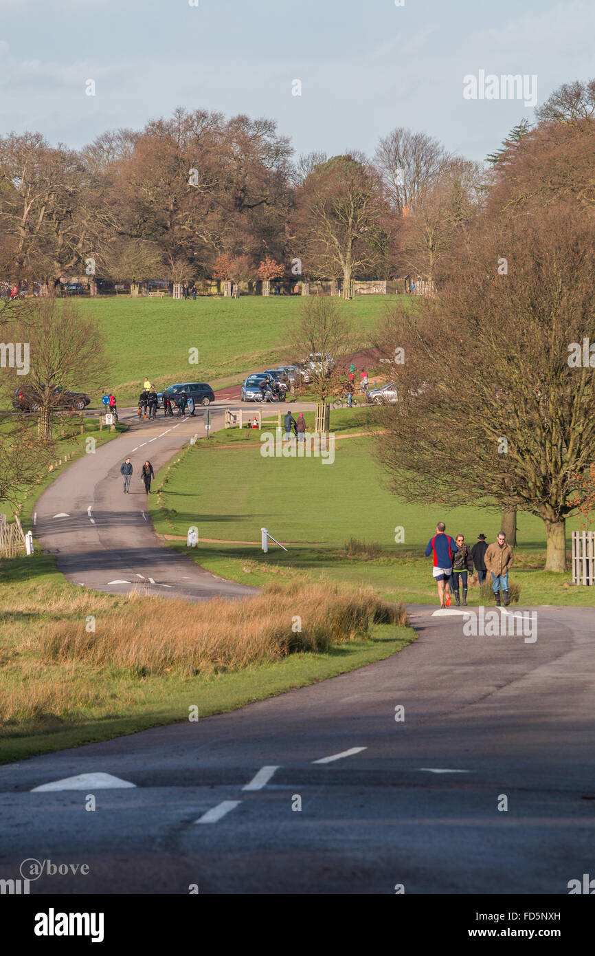 Ein Besuch in Richmond Park, London Stockfoto