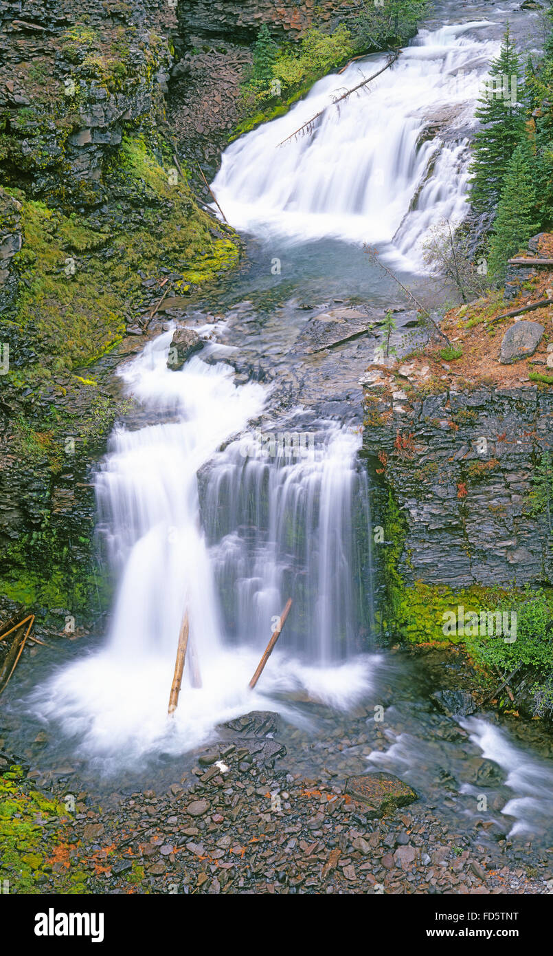 Upper Tumalo Creek Falls in den Cascade Mountains in der Nähe von Bend, Oregon. Stockfoto