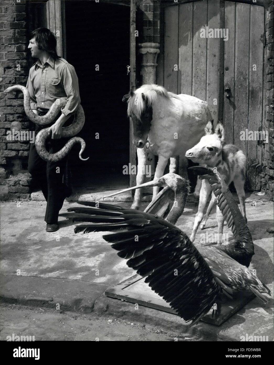 Taxidermists Stockfotos Und Bilder Kaufen Alamy