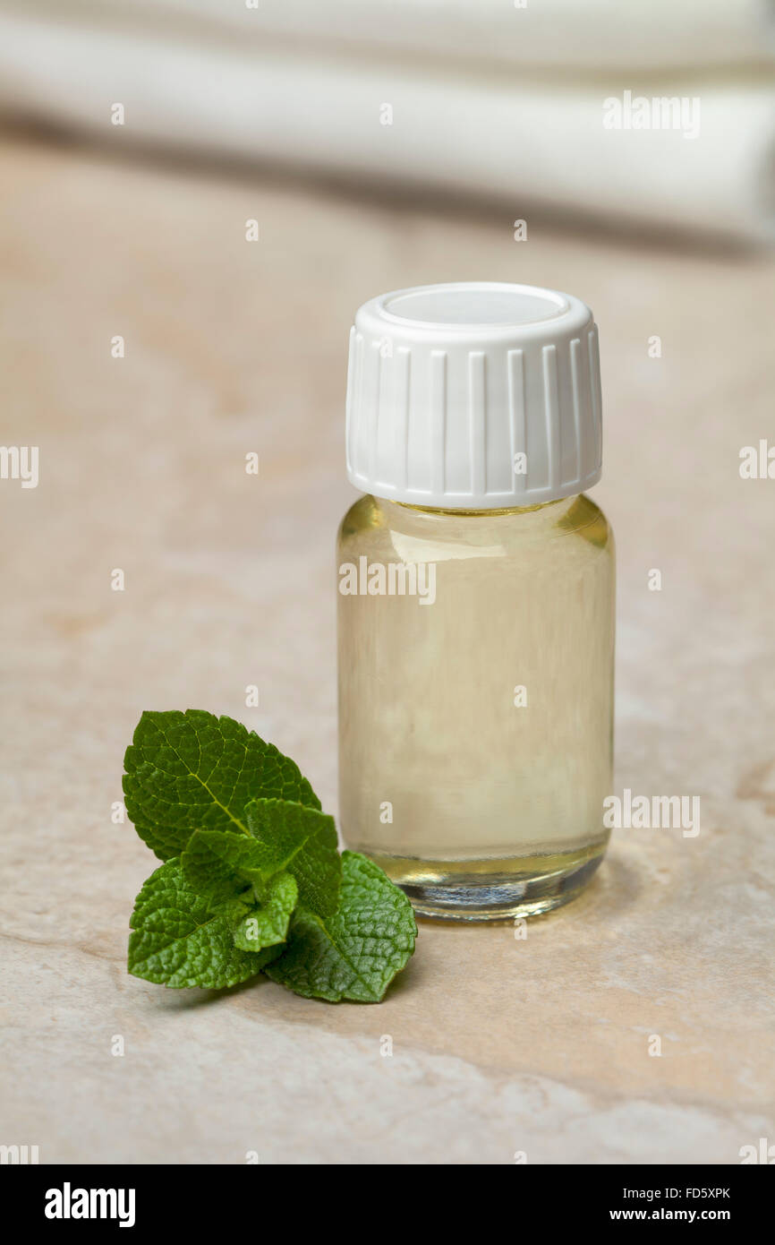 Pfefferminzöl in einer Flasche auf weißem Hintergrund Stockfoto