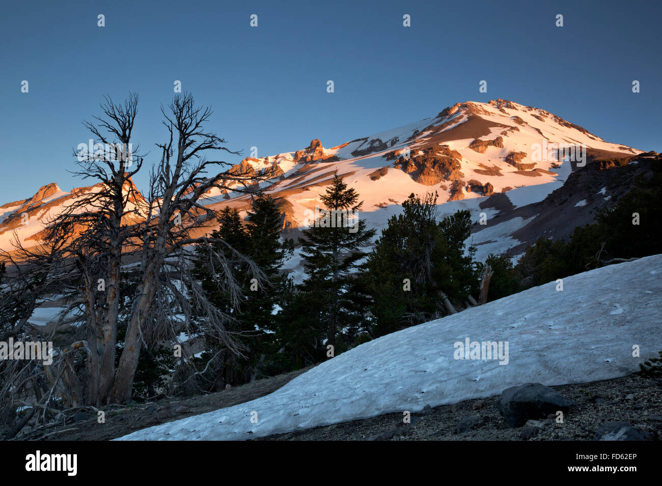 CA02644-00... Kalifornien - Sonnenaufgang am Mount Shasta aus der Clear Creek Trail im Mount Shasta Wildnisgebiet. Stockfoto