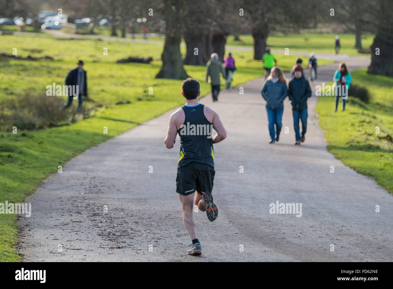 Ein Besuch in Richmond Park, London Stockfoto