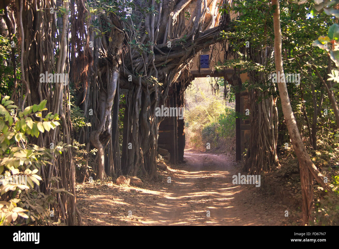 Eingangstor zum Nationalpark Ranthambore, Rajasthan, Indien Stockfoto