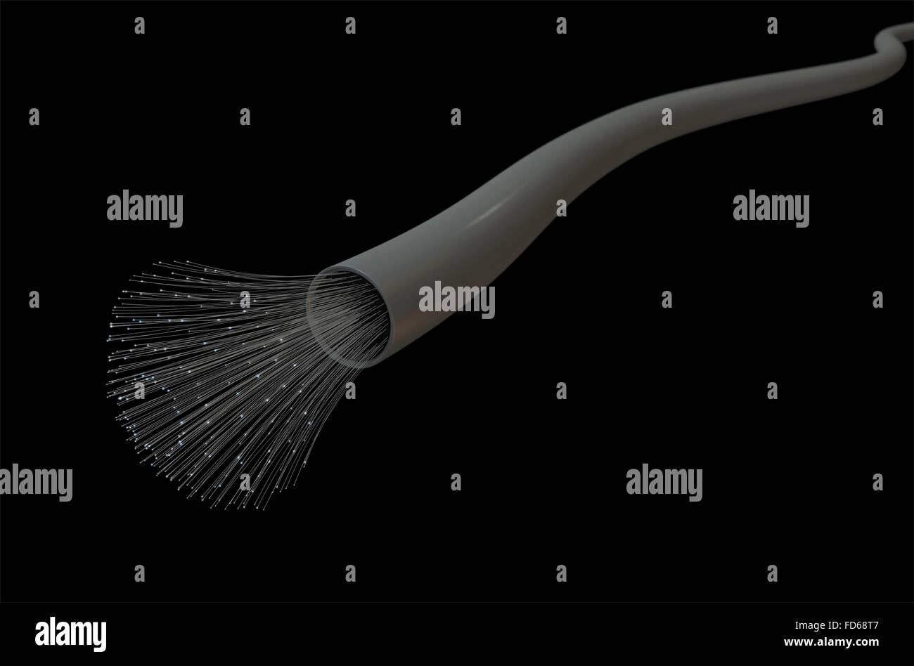 Ein Makro-Blick auf ein Glasfaserkabel auf einem dunklen Studio-Hintergrund Stockfoto Ein Makro-Blick auf ein Glasfaserkabel auf einem dunklen Studio-Hintergrund Stockfoto