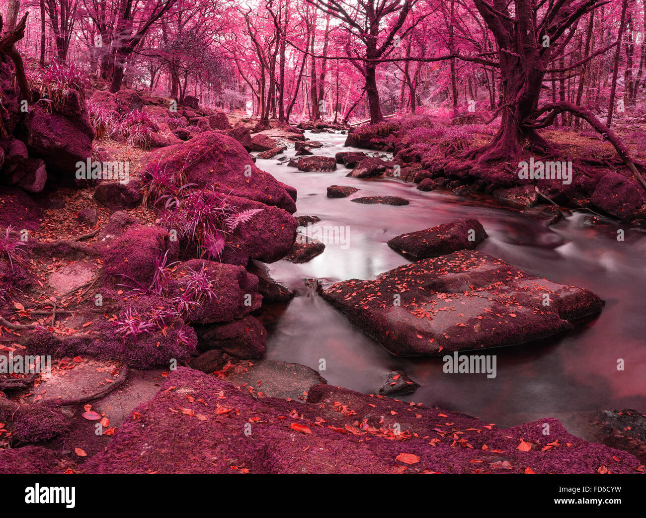 Atemberaubende alternativen Realität farbige Fantasielandschaft Wald und Fluss Stockfoto