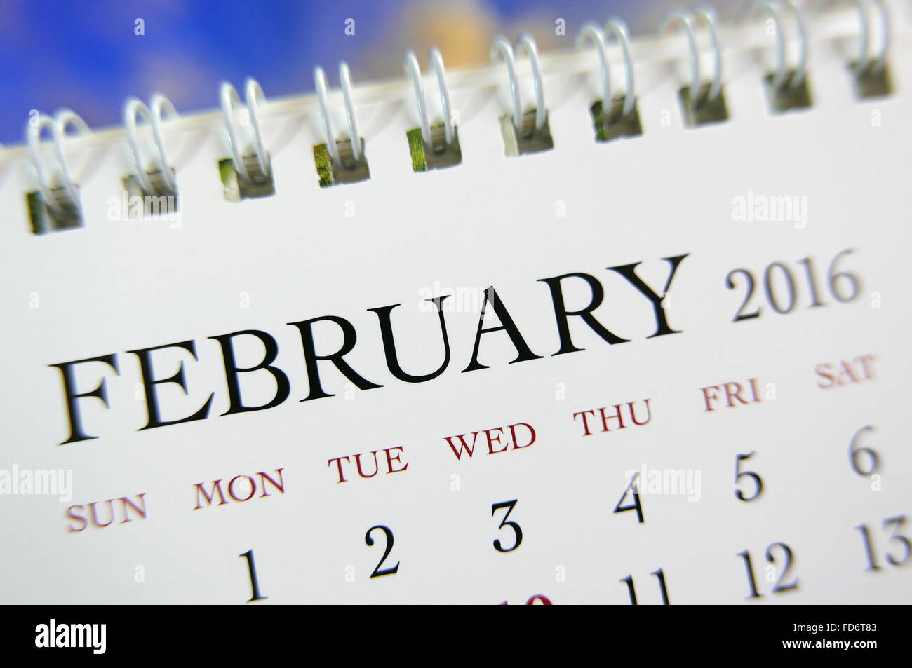 Kalender Februar 2016 hautnah Stockfoto