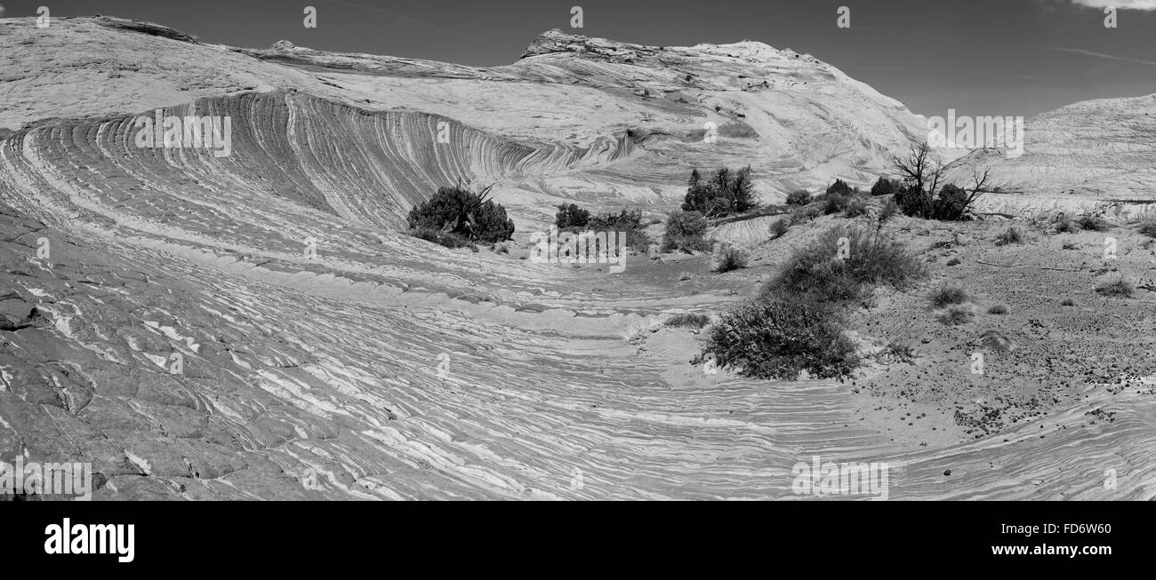 Einen eindrucksvollen Blick auf geschichteten Sandstein in der Nähe von Zebra Slot entlang Harris Wash, Grand Staircase-Escalante National Monument in der Nähe von Escal Stockfoto